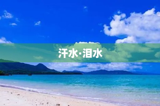 汗水·泪水 汗水·泪水