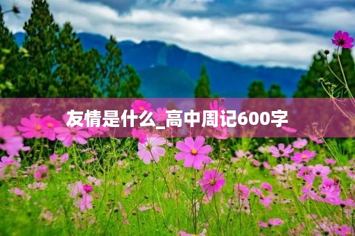 友情是什么_高中周记600字