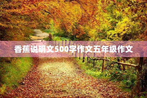 香蕉说明文500字作文五年级作文