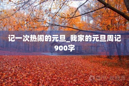 记一次热闹的元旦_我家的元旦周记900字 记一次热闹的元旦_我家的元旦周记900字
