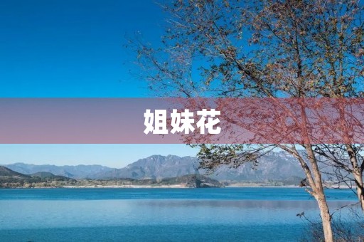 姐妹花