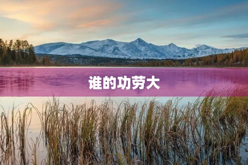 谁的功劳大 谁的功劳大