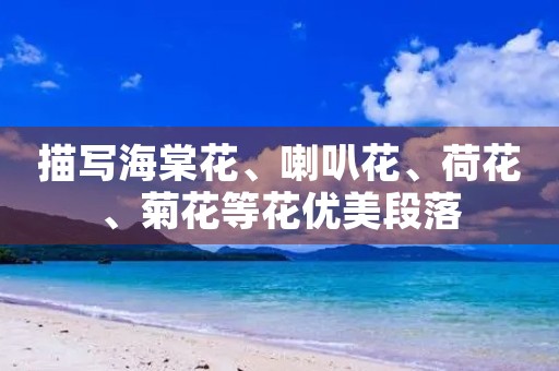 描写海棠花、喇叭花、荷花、菊花等花优美段落