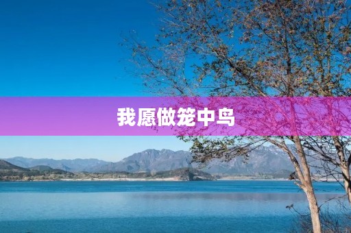 我愿做笼中鸟