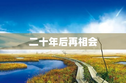 二十年后再相会