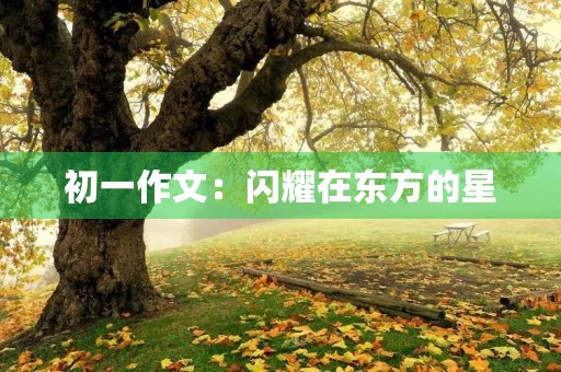 初一作文:闪耀在东方的星 初一作文:闪耀在东方的星