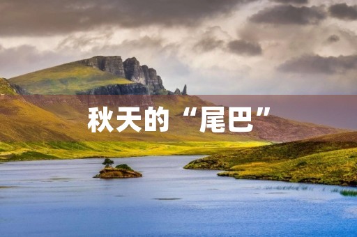 秋天的“尾巴”