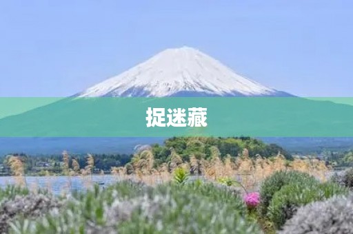 捉迷藏 捉迷藏