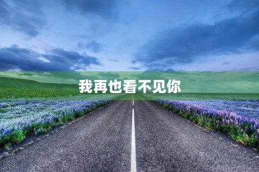我再也看不见你