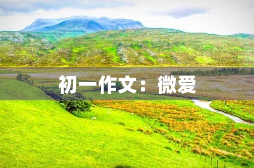 初一作文:微爱 初一作文:微爱