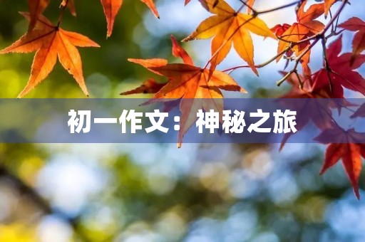 初一作文:神秘之旅 初一作文:神秘之旅