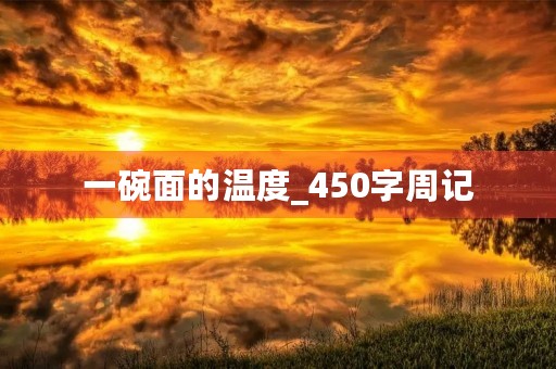 一碗面的温度_450字周记