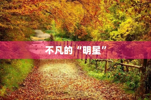 不凡的“明星”