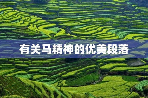 有关马精神的优美段落