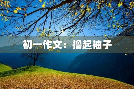 初一作文:撸起袖子 初一作文:撸起袖子