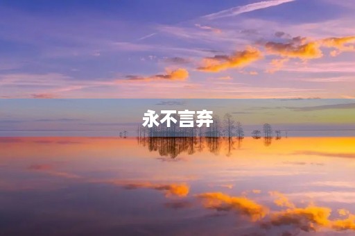 永不言弃 永不言弃