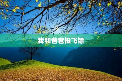 我和爸爸投飞镖