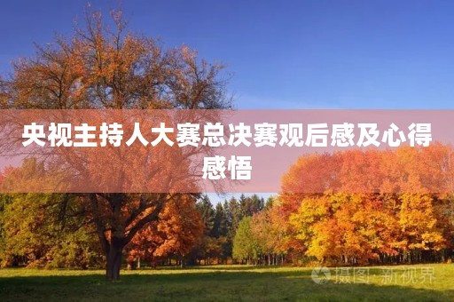 央视主持人大赛总决赛观后感及心得感悟 央视主持人大赛总决赛观后感及心得感悟