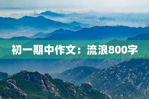 初一期中作文：流浪800字