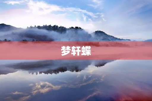 梦轩蝶 梦轩蝶