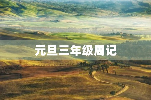 元旦三年级周记