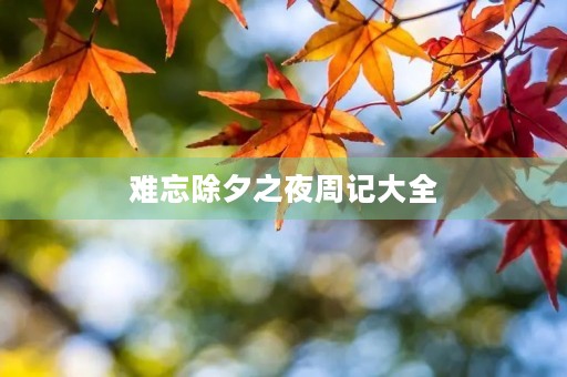 难忘除夕之夜周记大全 难忘除夕之夜周记大全