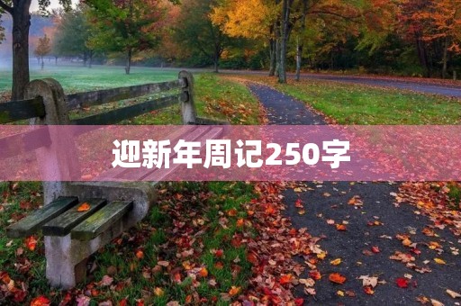 迎新年周记250字