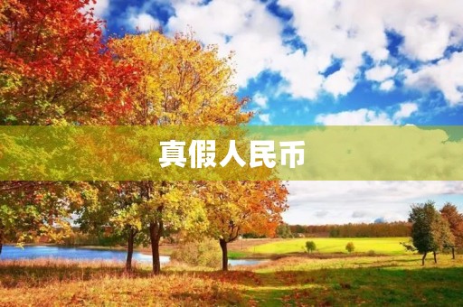 真假人民币 真假人民币