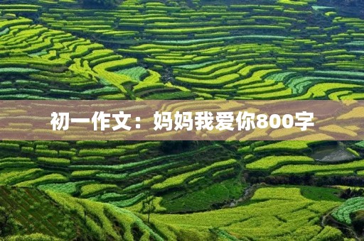 初一作文：妈妈我爱你800字