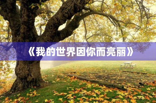 《我的世界因你而亮丽》 《我的世界因你而亮丽》
