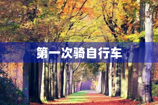 第一次骑自行车