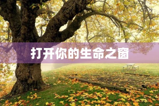 打开你的生命之窗 打开你的生命之窗