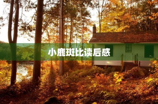 小鹿斑比读后感 小鹿斑比读后感