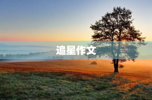 追星作文